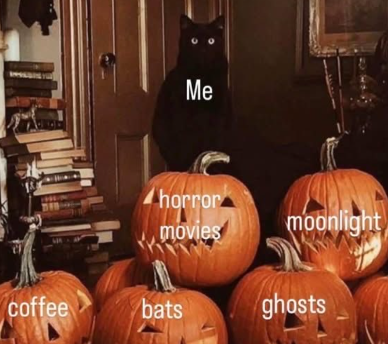 Me horror movies moonlight 635 coffee bats ghosts