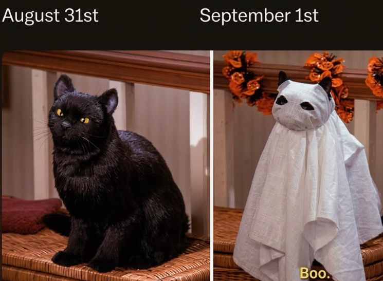 August 31st September 1st Boo.
