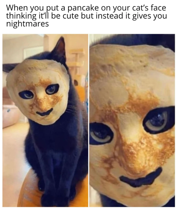 When you put a pancake on your cat's face thinking it'll be cute but instead it gives you nightmares