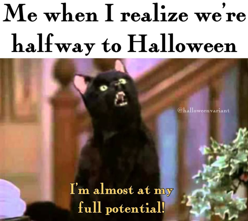 Me when I realize we're halfway to Halloween I'm almost at my full potential! @halloweenvariant