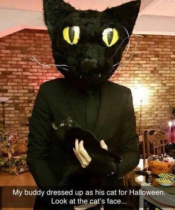 My buddy dressed up as his cat for Halloween. Look at the cat's face...