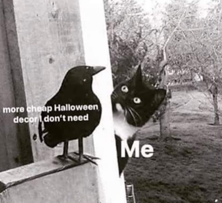 more cheap Halloween decor don't need Me
