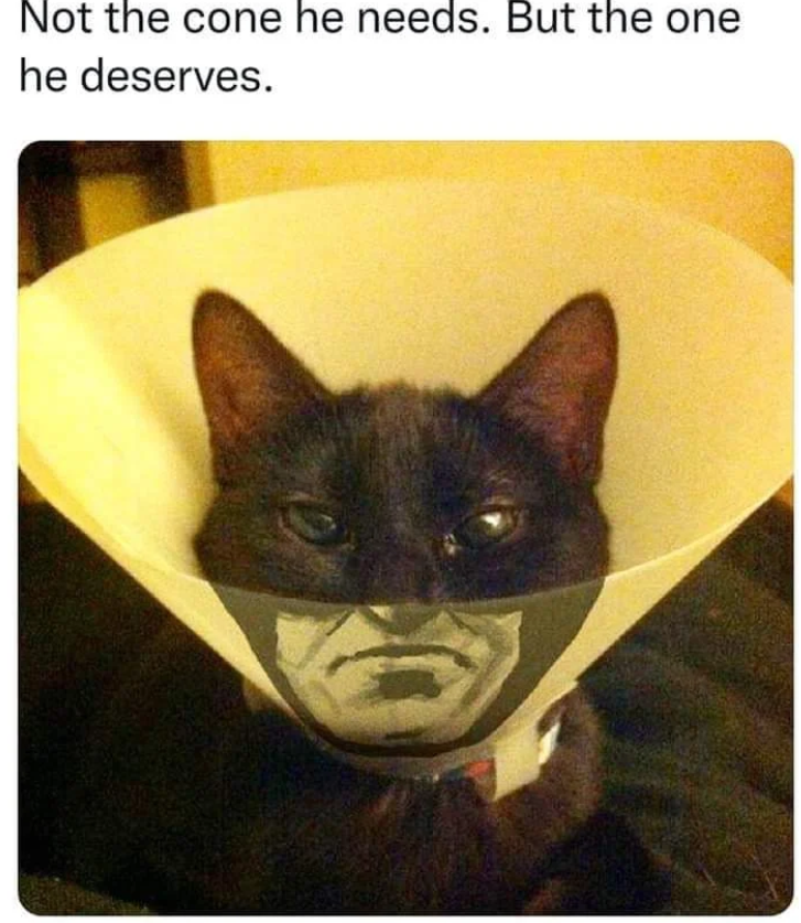 Not the cone he needs. But the one he deserves.