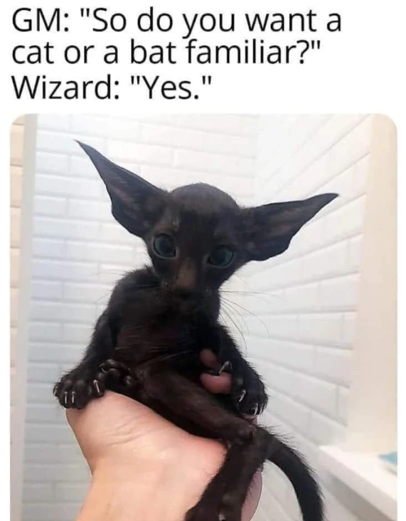 GM: "So do you want a cat or a bat familiar?" Wizard: "Yes."