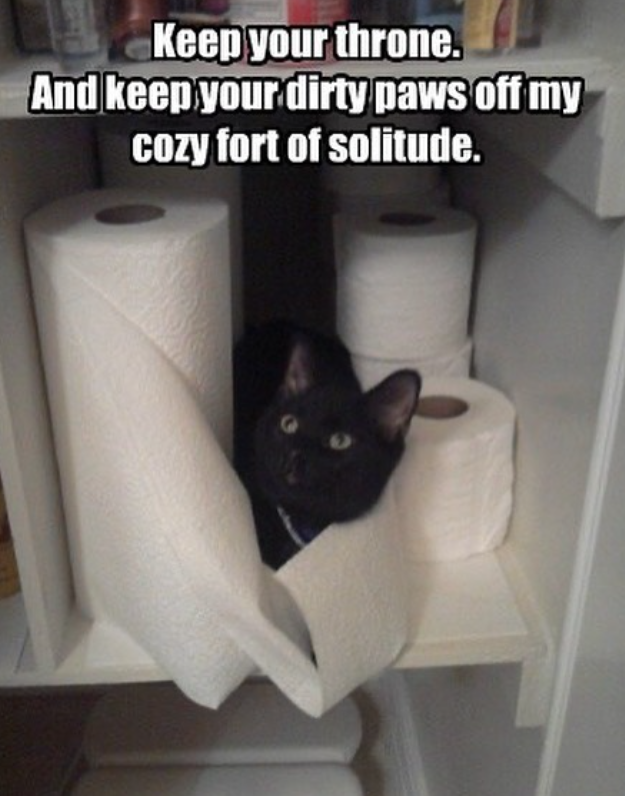 Keep your throne. And keep your dirty paws off my cozy fort of solitude.