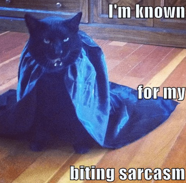 I'm known for my biting sarcasm
