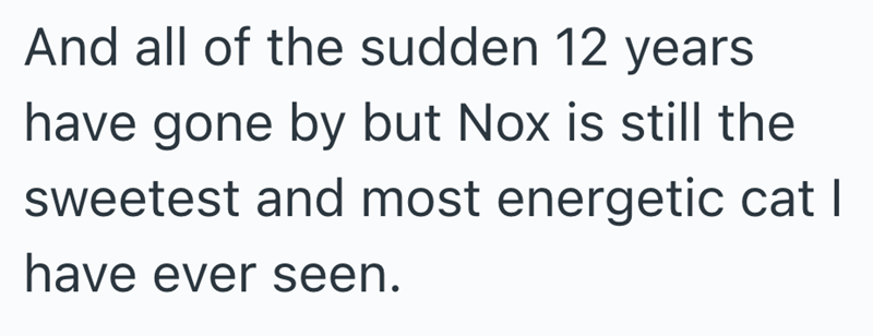 And all of the sudden 12 years have gone by but Nox is still the sweetest and most energetic cat I have ever seen.