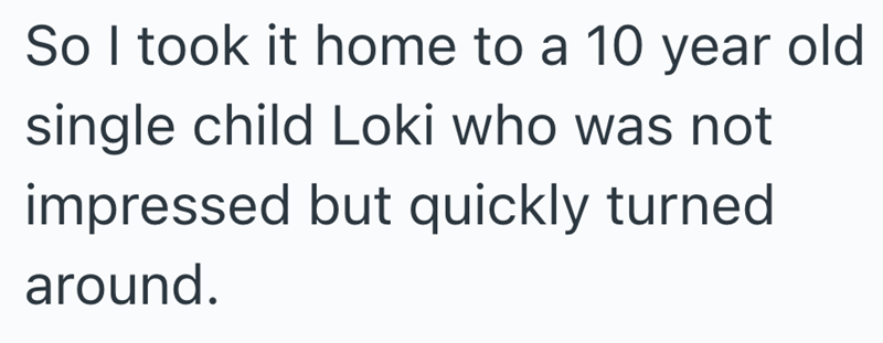 So I took it home to a 10 year old single child Loki who was not impressed but quickly turned around.