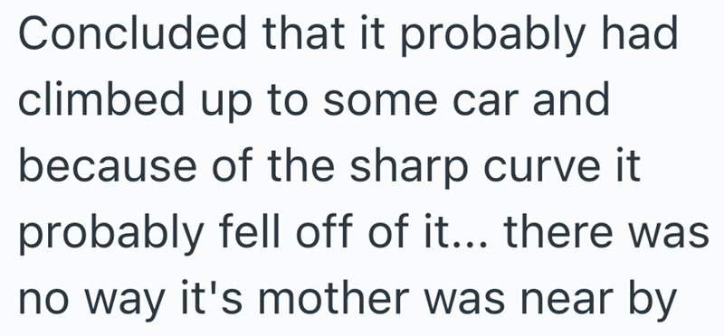 Concluded that it probably had climbed up to some car and because of the sharp curve it probably fell off of it... there was no way it's mother was near by