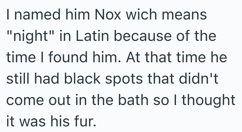 I named him Nox wich means "night" in Latin because of the time I found him. At that time he still had black spots that didn't come out in the bath so I thought it was his fur.