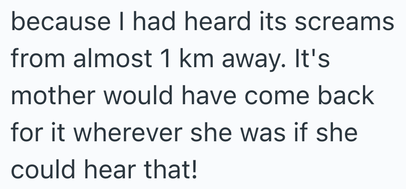 because I had heard its screams from almost 1 km away. It's mother would have come back for it wherever she was if she could hear that!