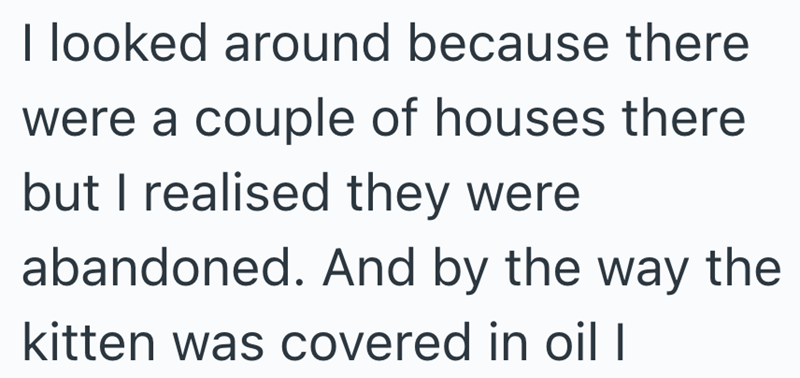 I looked around because there were a couple of houses there but I realised they were abandoned. And by the way the kitten was covered in oil I
