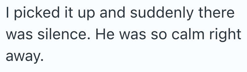 I picked it up and suddenly there was silence. He was so calm right away.
