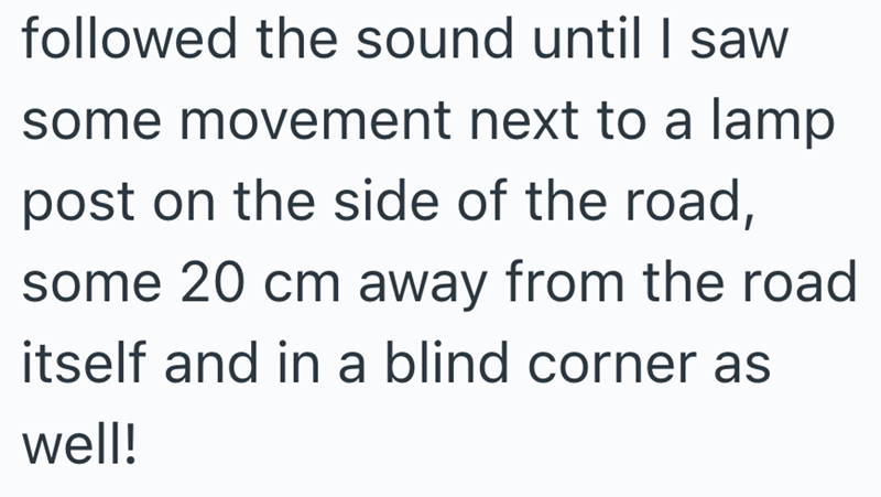 followed the sound until I saw some movement next to a lamp post on the side of the road, some 20 cm away from the road itself and in a blind corner as well!