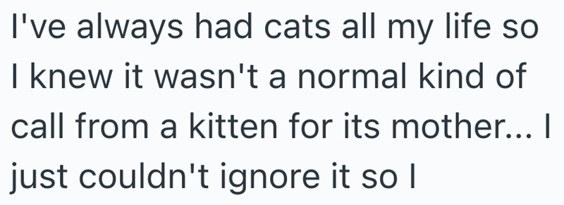 I've always had cats all my life so I knew it wasn't a normal kind of call from a kitten for its mother... I just couldn't ignore it so I