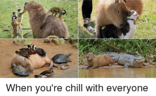 When you're chill with everyone