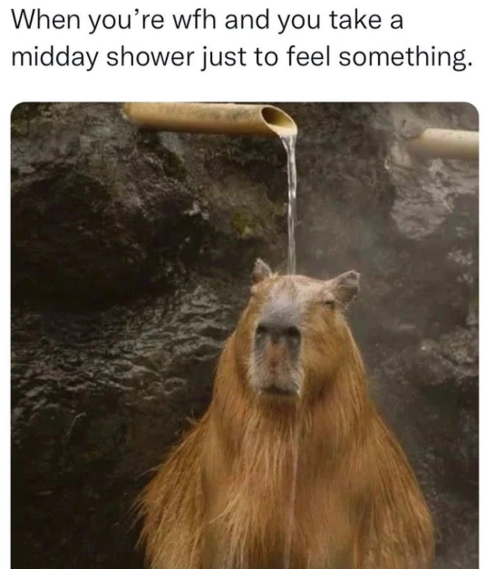 When you're wfh and you take a midday shower just to feel something.
