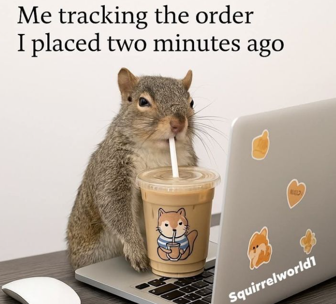 Me tracking the order I placed two minutes ago Squirrelworld1