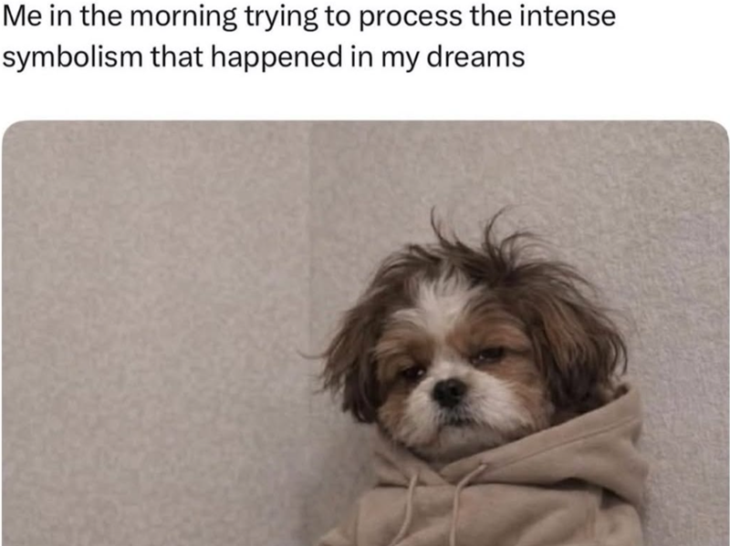 Me in the morning trying to process the intense symbolism that happened in my dreams