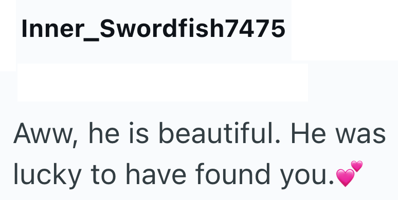 Inner_Swordfish7475 Aww, he is beautiful. He was lucky to have found you.