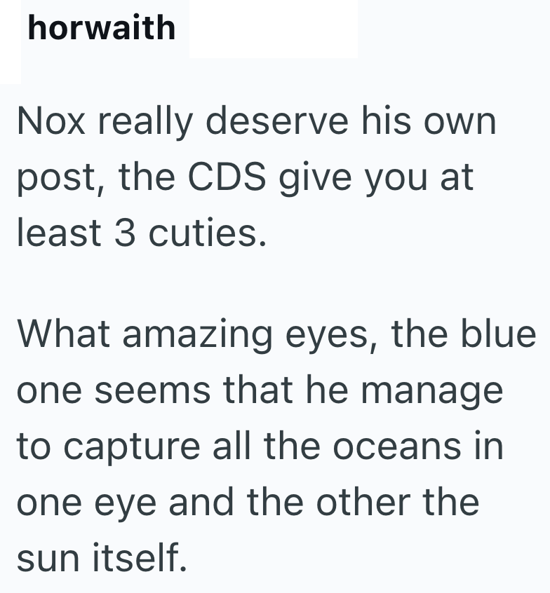 horwaith Nox really deserve his own post, the CDS give you at least 3 cuties. What amazing eyes, the blue one seems that he manage to capture all the oceans in one eye and the other the sun itself.