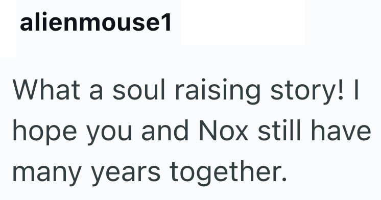 alienmouse1 What a soul raising story! I hope you and Nox still have many years together.