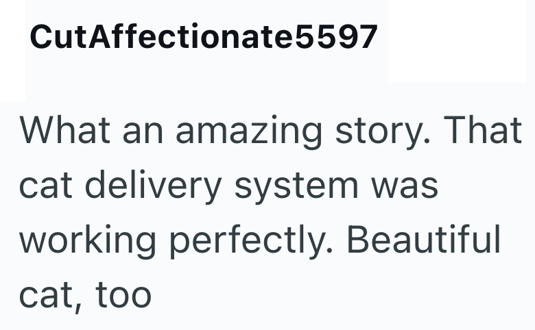 CutAffectionate5597 What an amazing story. That cat delivery system was working perfectly. Beautiful cat, too