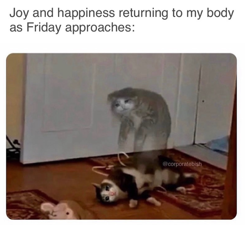 Joy and happiness returning to my body as Friday approaches: @corporatebish
