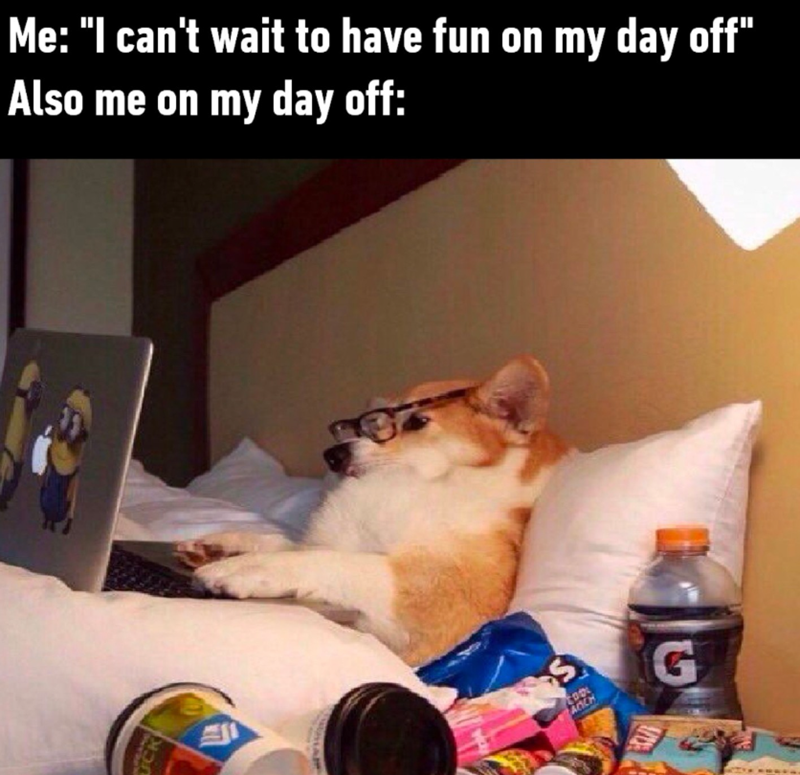Me: "I can't wait to have fun on my day off" Also me on my day off: ACCH G