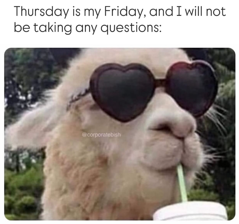 Thursday is my Friday, and I will not be taking any questions: @corporatebish