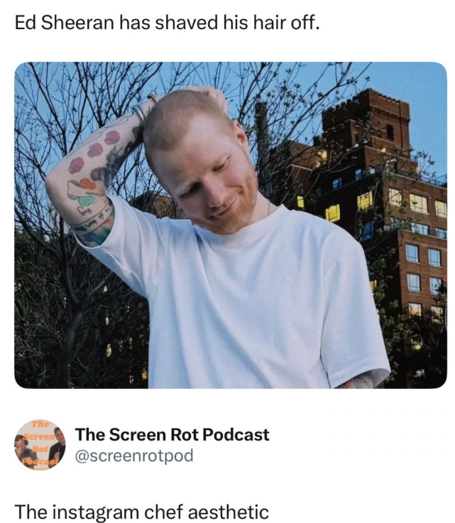 Ed Sheeran has shaved his hair off. The Screen Rot The Screen Rot Podcast @screenrotpod The instagram chef aesthetic