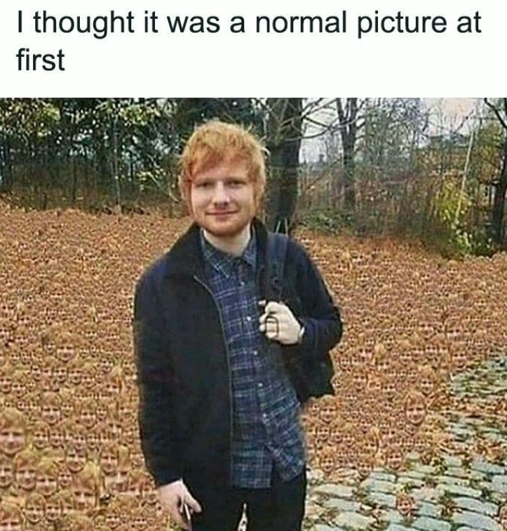 I thought it was a normal picture at first
