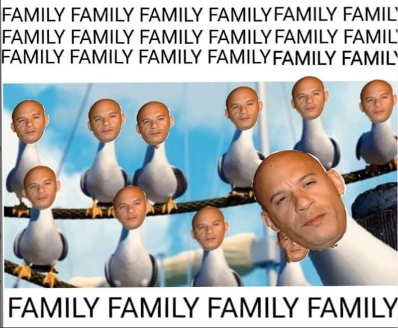 FAMILY FAMILY FAMILY FAMILY FAMILY FAMILY FAMILY FAMILY FAMILY FAMILY FAMILY FAMIL FAMILY FAMILY FAMILY FAMILY FAMILY FAMIL FAMILY FAMILY FAMILY FAMILY
