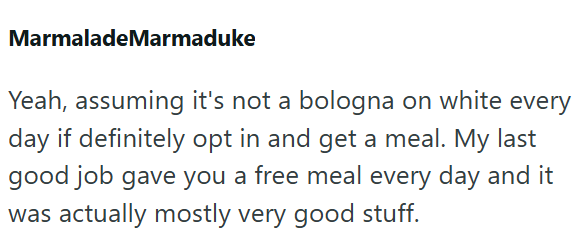 MarmaladeMarmaduke Yeah, assuming it's not a bologna on white every day if definitely opt in and get a meal. My last good job gave you a free meal every day and it was actually mostly very good stuff.