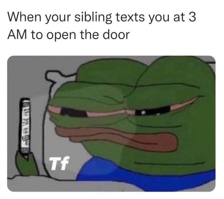 When your sibling texts you at 3 AM to open the door Tf