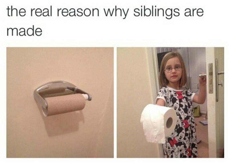 the real reason why siblings are made
