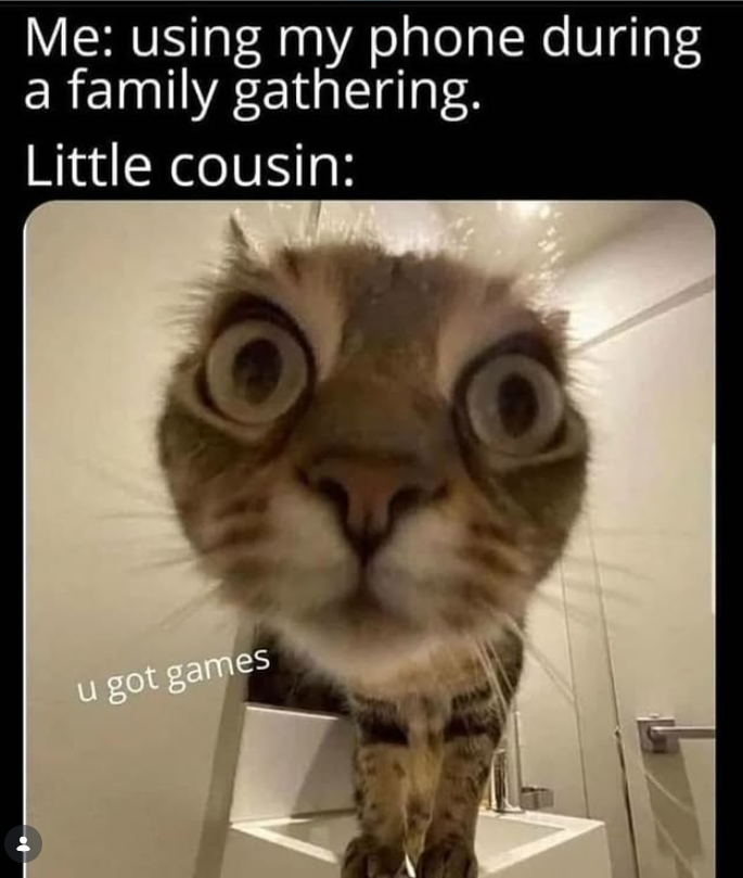 Me: using my phone during a family gathering. Little cousin: u got games