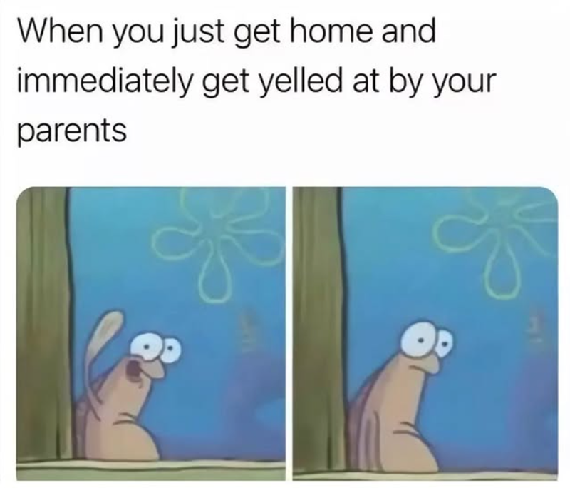 When you just get home and immediately get yelled at by your parents