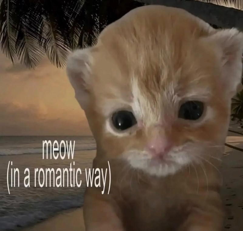 meow (in a romantic way)