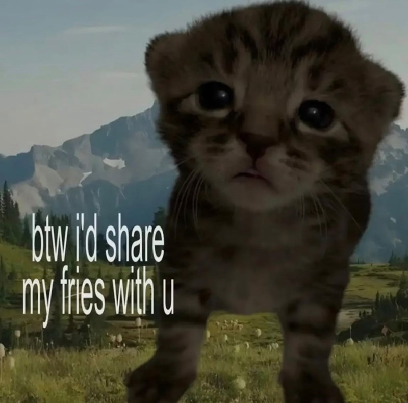 btw i'd share my fries with u