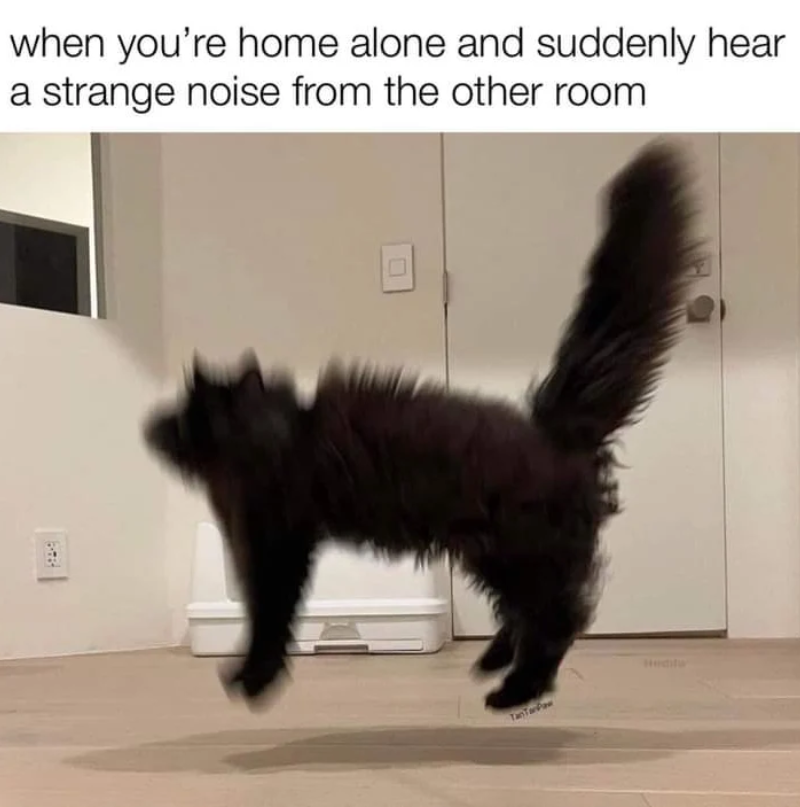 when you're home alone and suddenly hear a strange noise from the other room TanTanPa