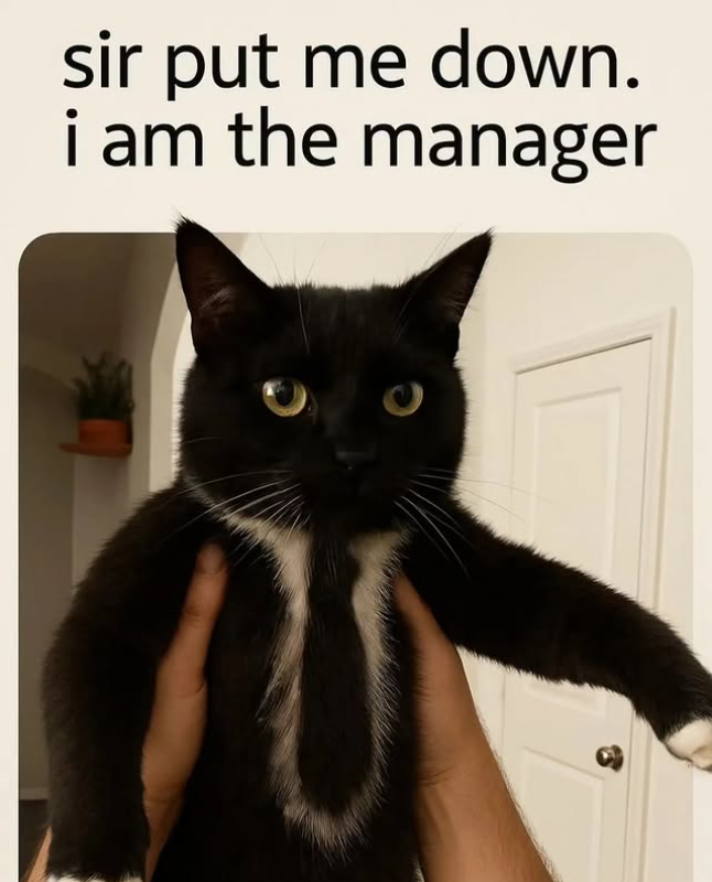 sir put me down. i am the manager