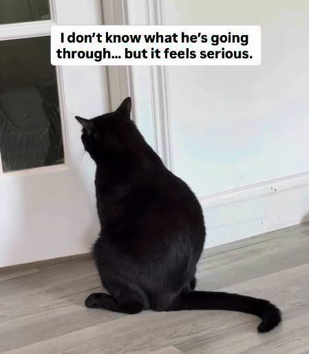 I don't know what he's going through... but it feels serious.