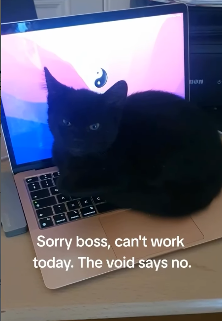 9 A Sorry boss, can't work today. The void says no. поп