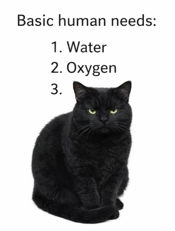 Basic human needs: 1. Water 2. Oxygen 3.