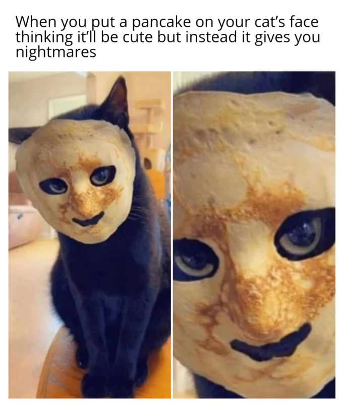 When you put a pancake on your cat's face thinking it'll be cute but instead it gives you nightmares