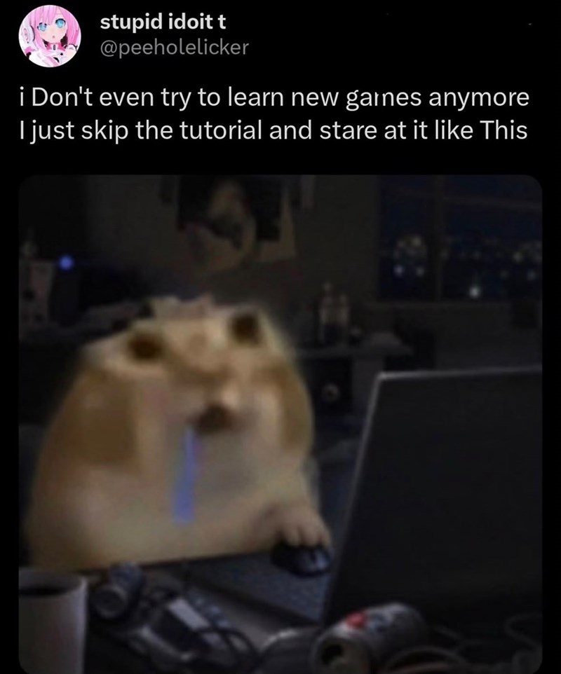 stupid idoit t @peeholelicker i Don't even try to learn new garnes anymore I just skip the tutorial and stare at it like This