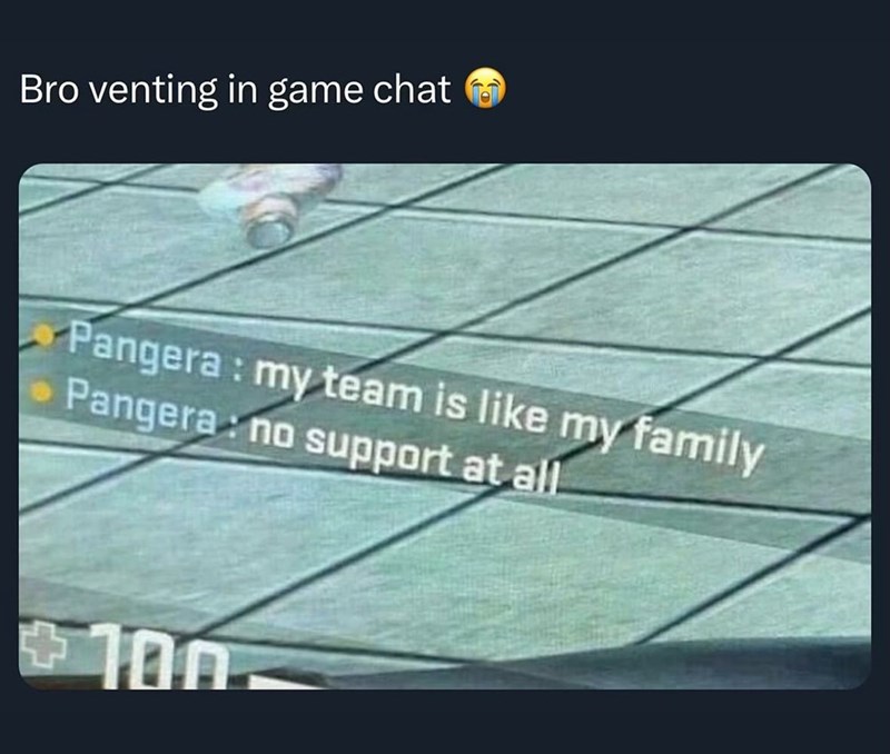 Bro venting in game chat Pangera: my team is like my family Pangera: no support at all. +100
