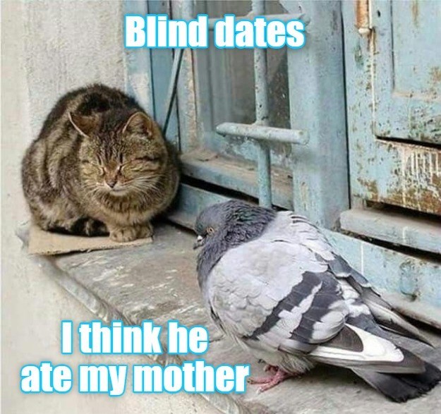 Blind dates I think he ate my mother