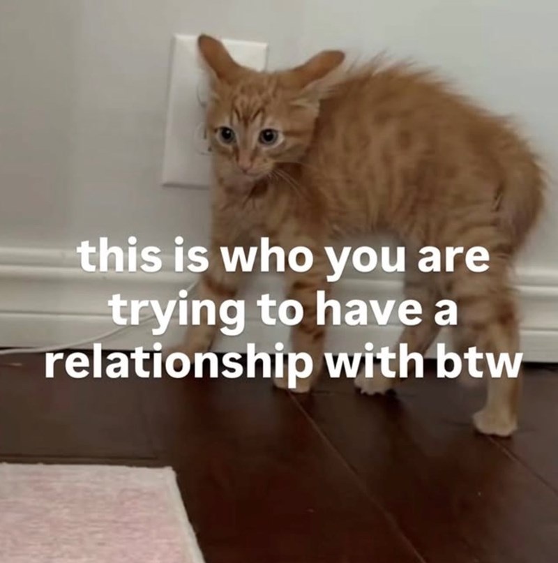 this is who you are trying to have a relationship with btw